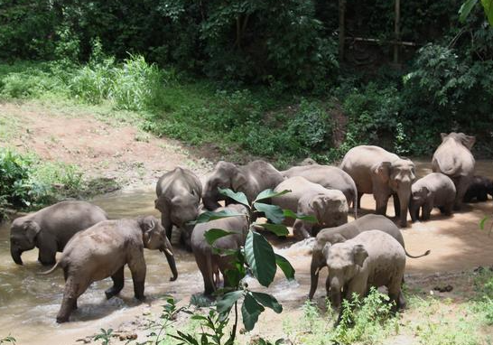 云南省文化和旅游厅