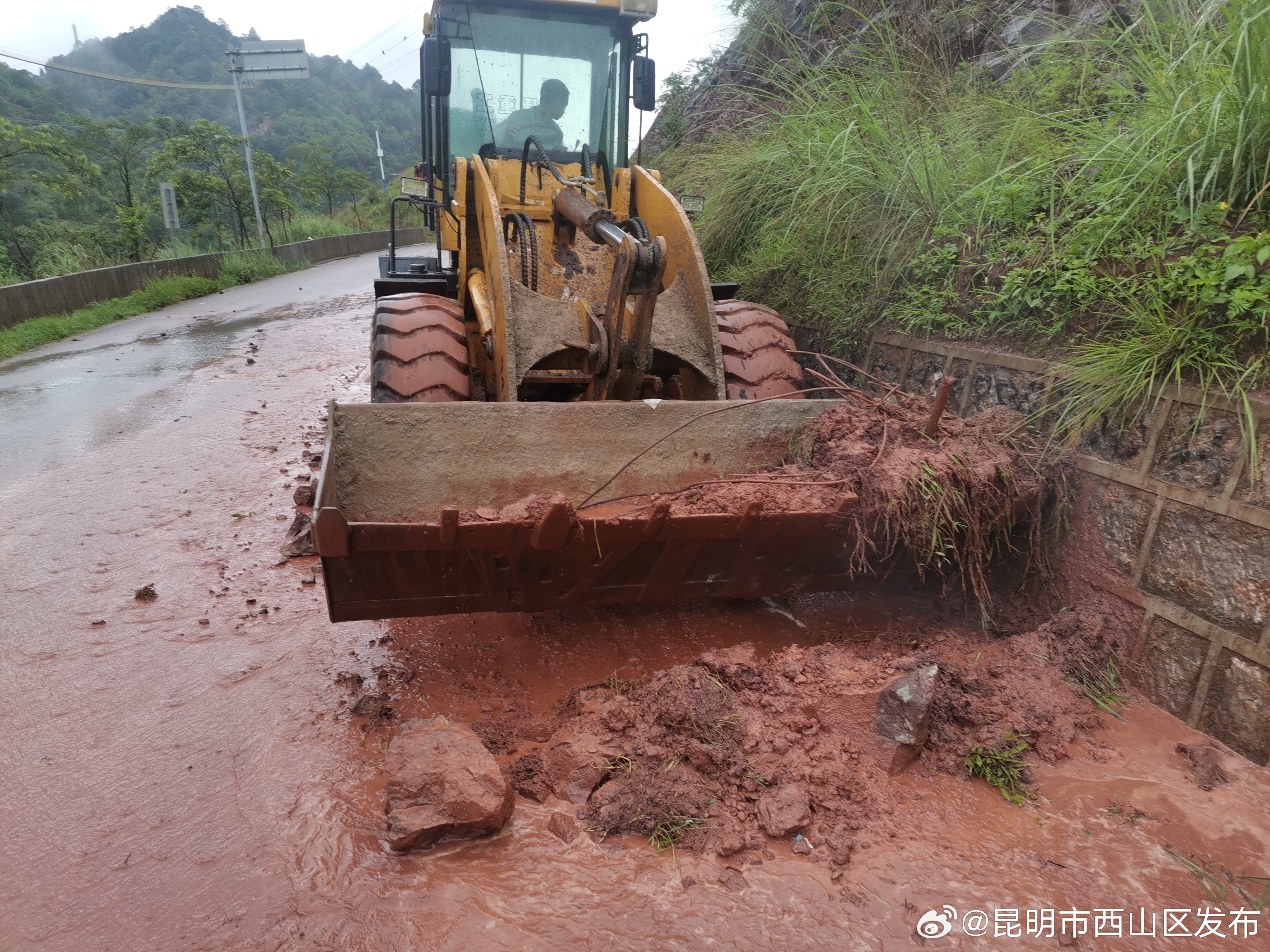昆明市西山区发布