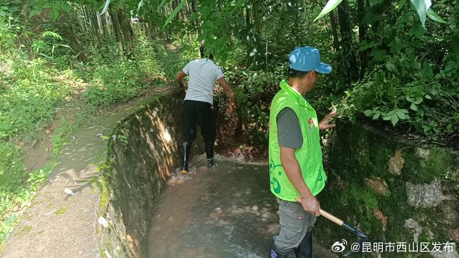 昆明市西山区发布