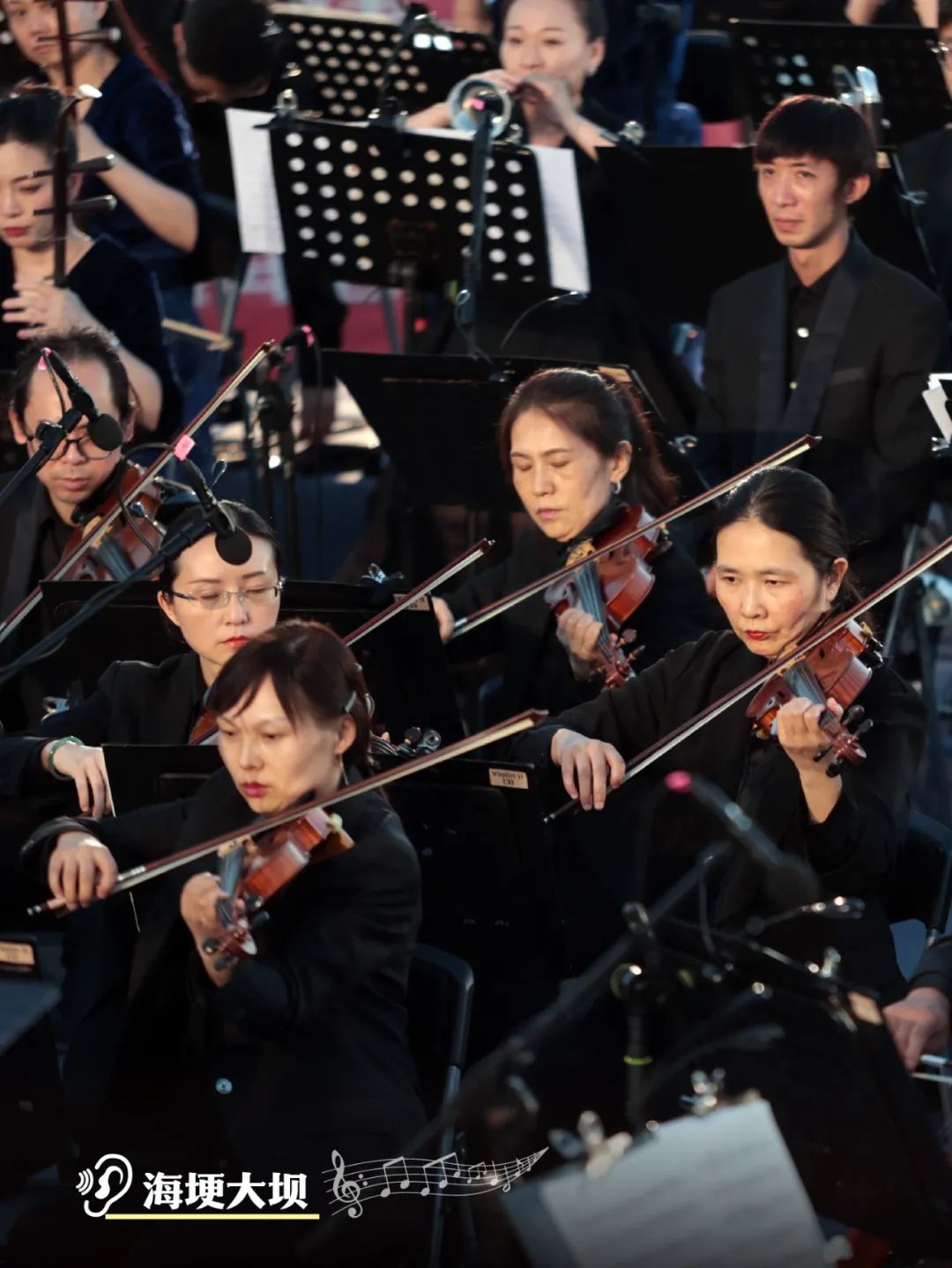 云南省文化和旅游厅