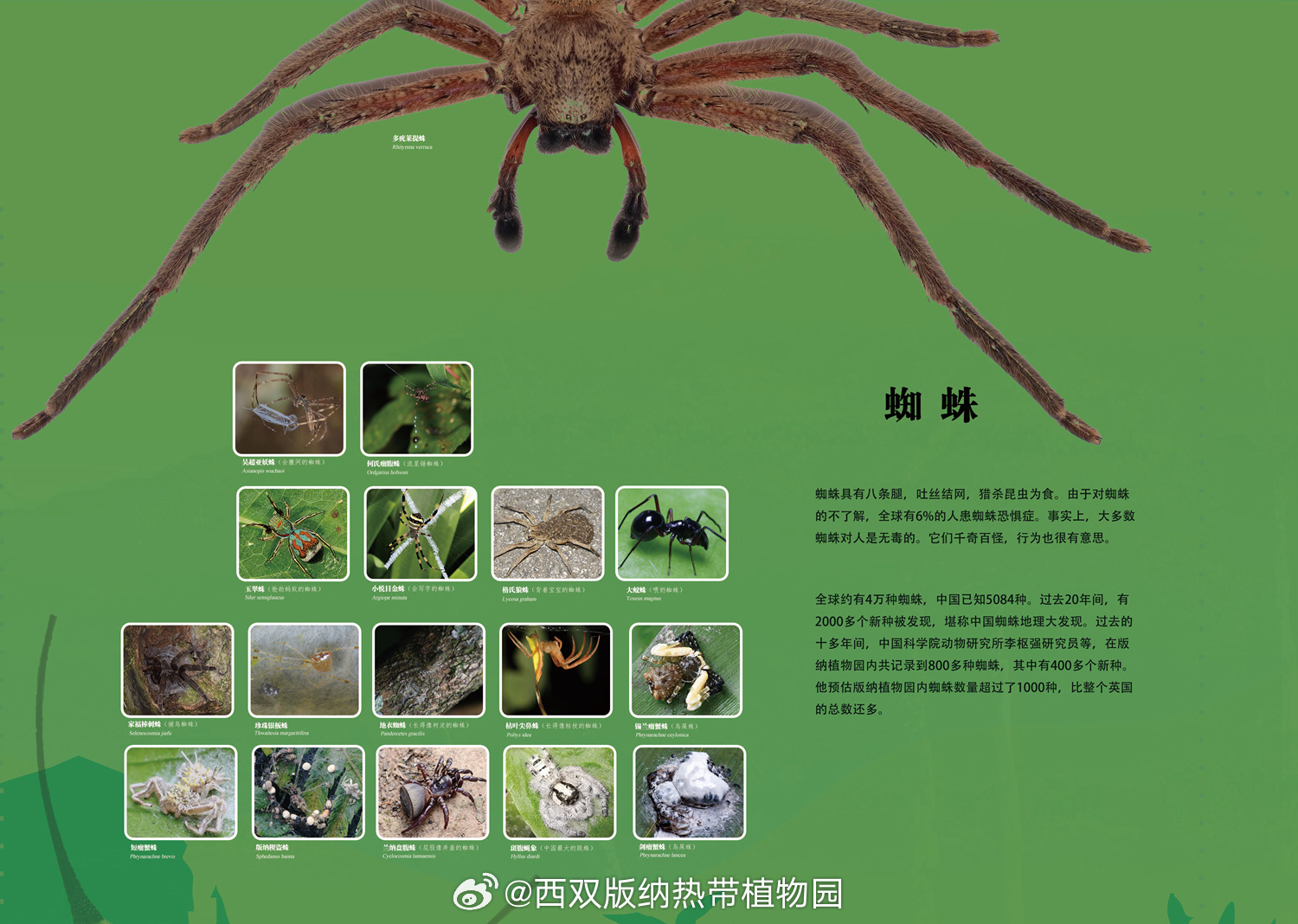 西双版纳热带植物园