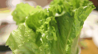 绿叶菜冷藏不建议超过3天