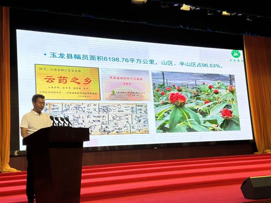 丽江日报