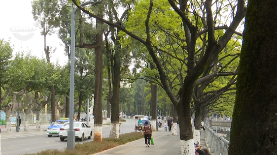 昆明信息港/cnkmxxg