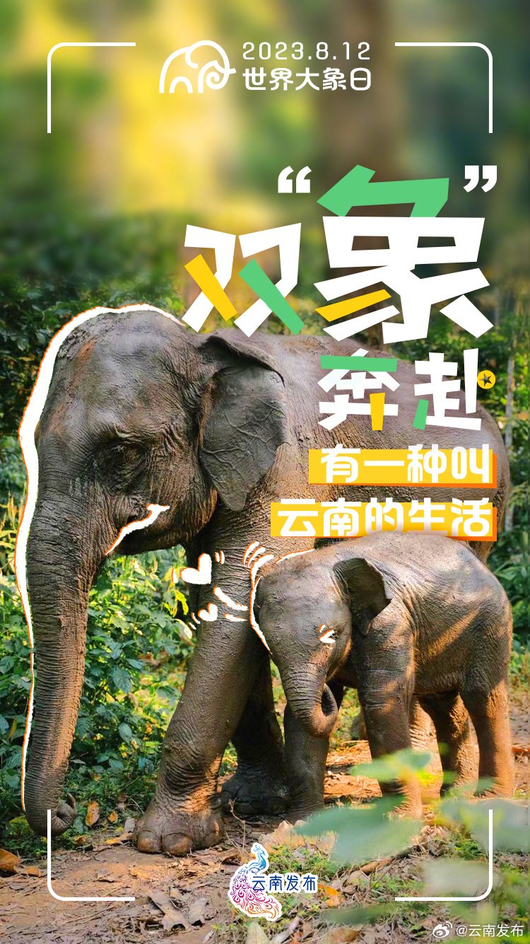 今天世界大象日 萌萌萌萌萌萌萌萌萌萌！