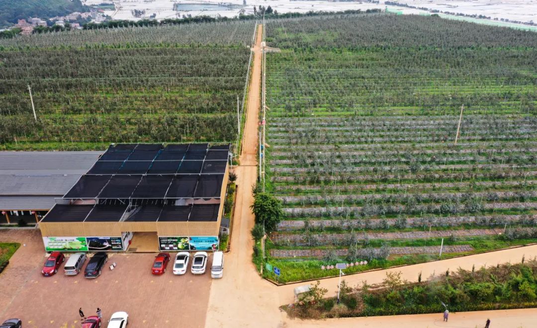 晋宁诗意的栖居地