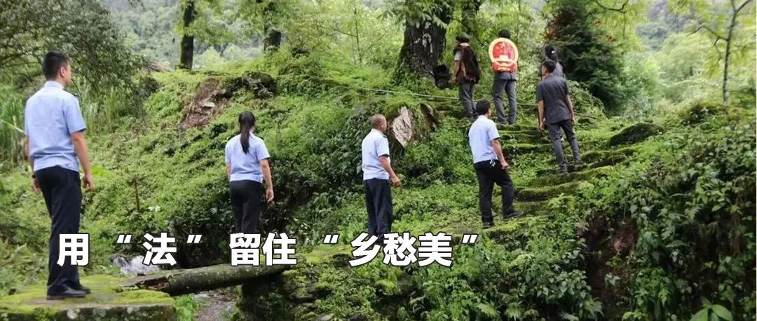 云南政法