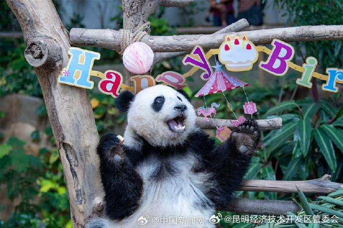 昆明经济技术开发区管委会