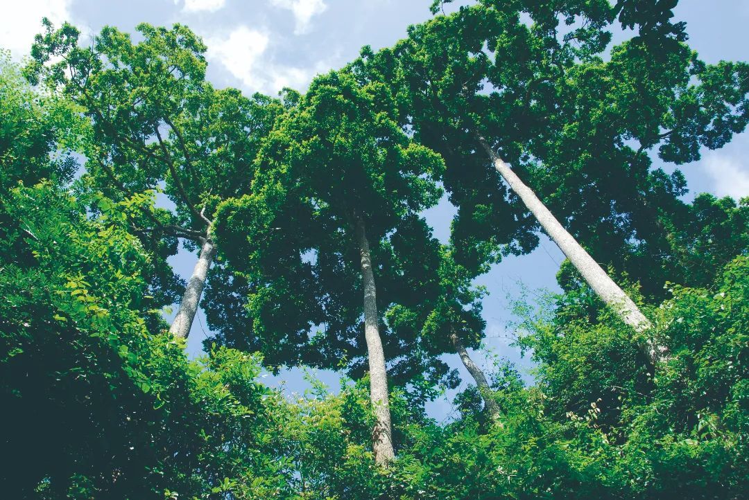 云南省文化和旅游厅