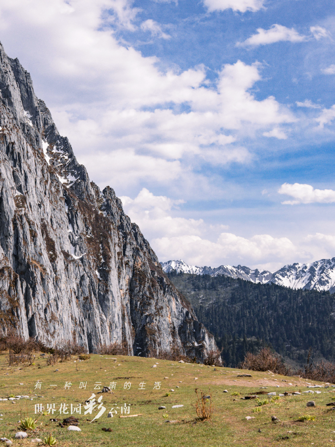 云南省文化和旅游厅