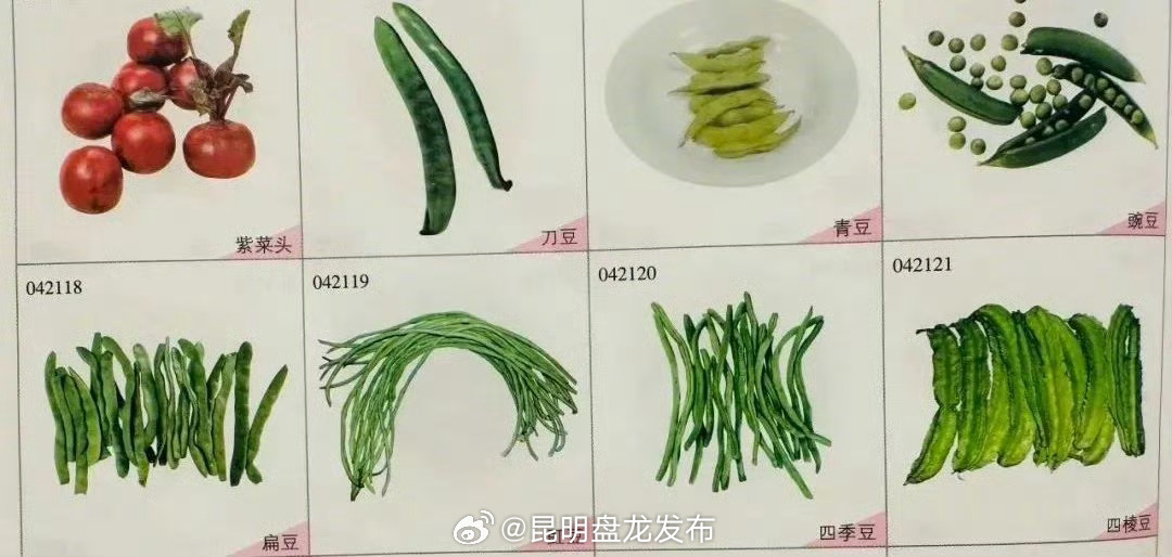 昆明盘龙发布