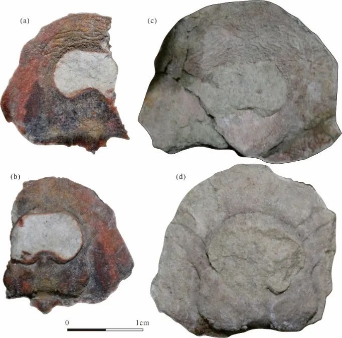 昆明信息港/cnkmxxg