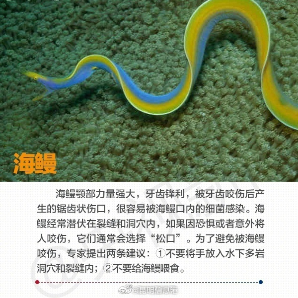 昆明信息港微博