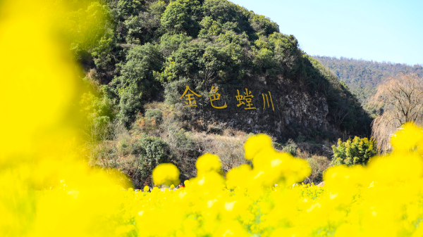 云南省文化和旅游厅