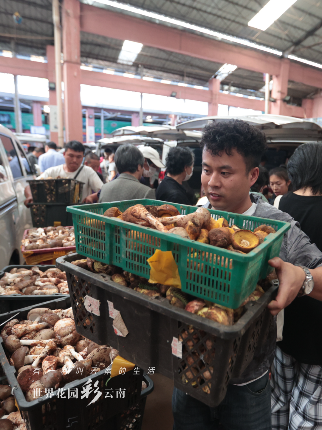 云南省文化和旅游厅