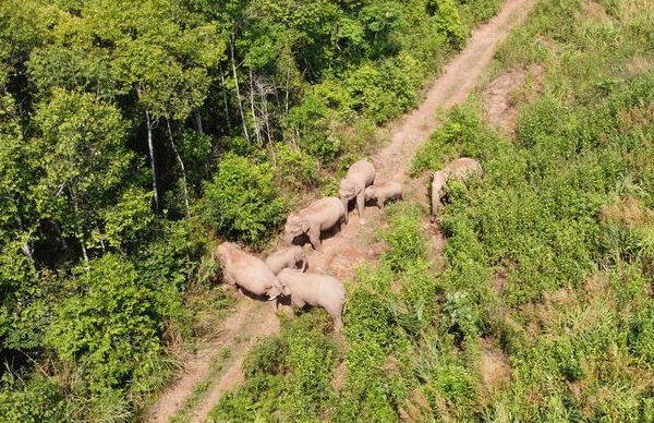 云南省文化和旅游厅