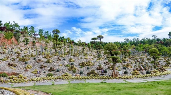 云南省文化和旅游厅