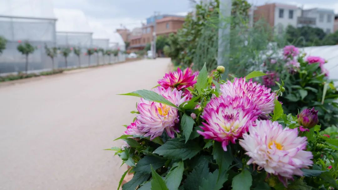 晋宁诗意的栖居地