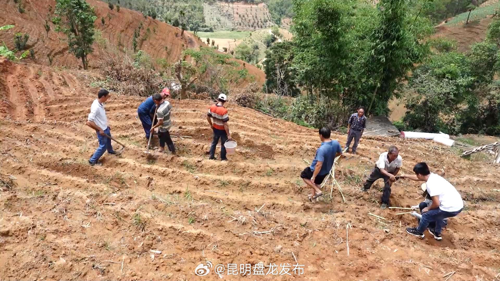 昆明盘龙发布