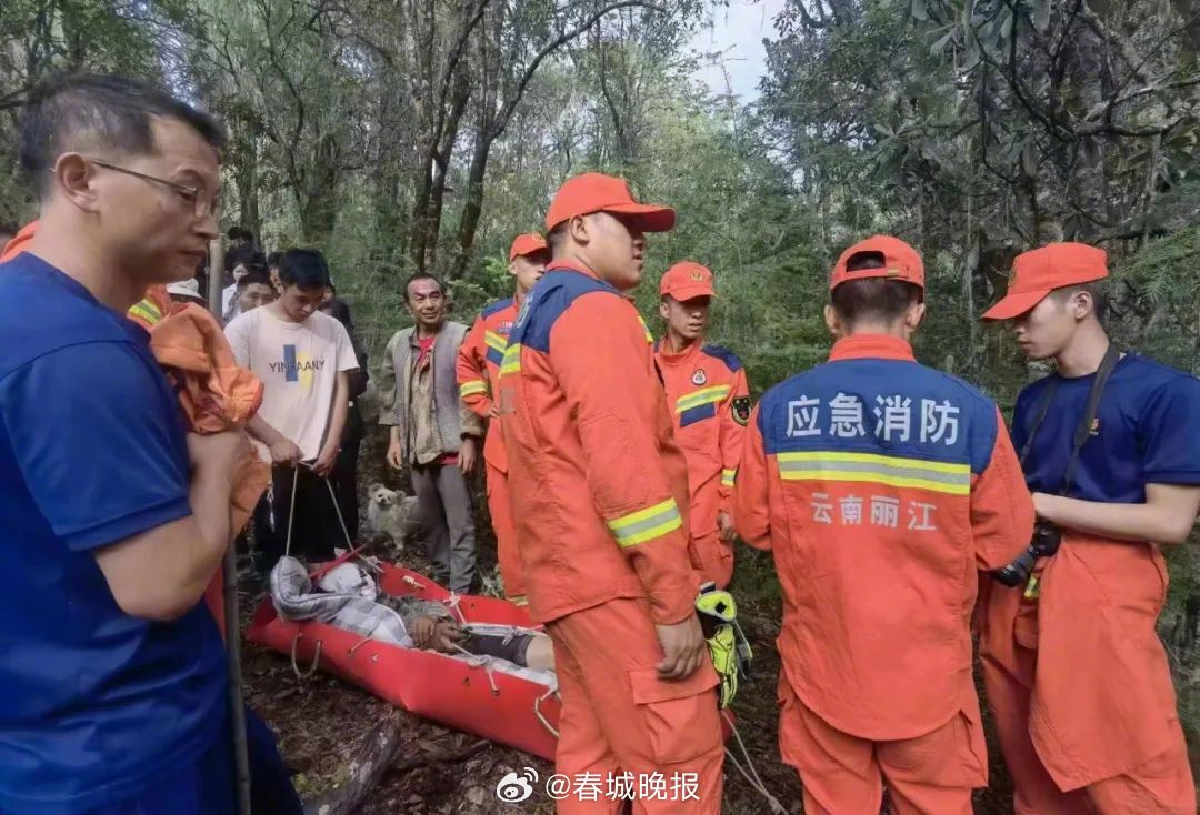 惊魂！男子上山捡菌一头黑熊冲向他……
