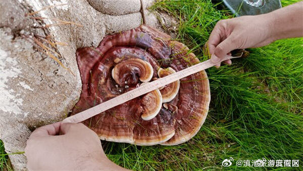 滇池旅游度假区