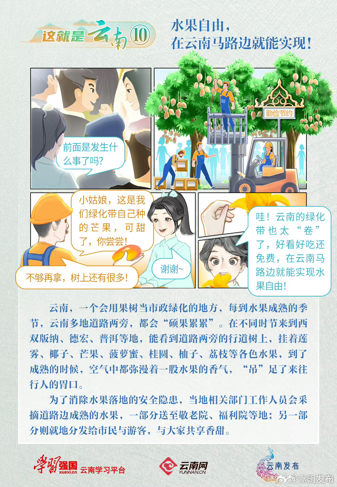 这就是云南 | 水果自由，在云南马路边就能实现！