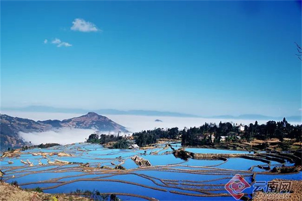 云南省文化和旅游厅