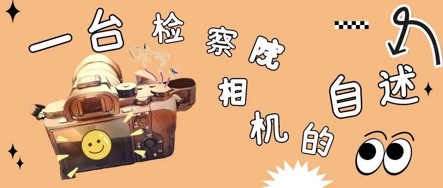 云南政法