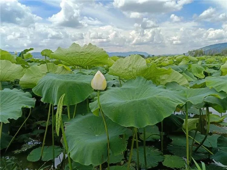 昆明阳宗海风景名胜区