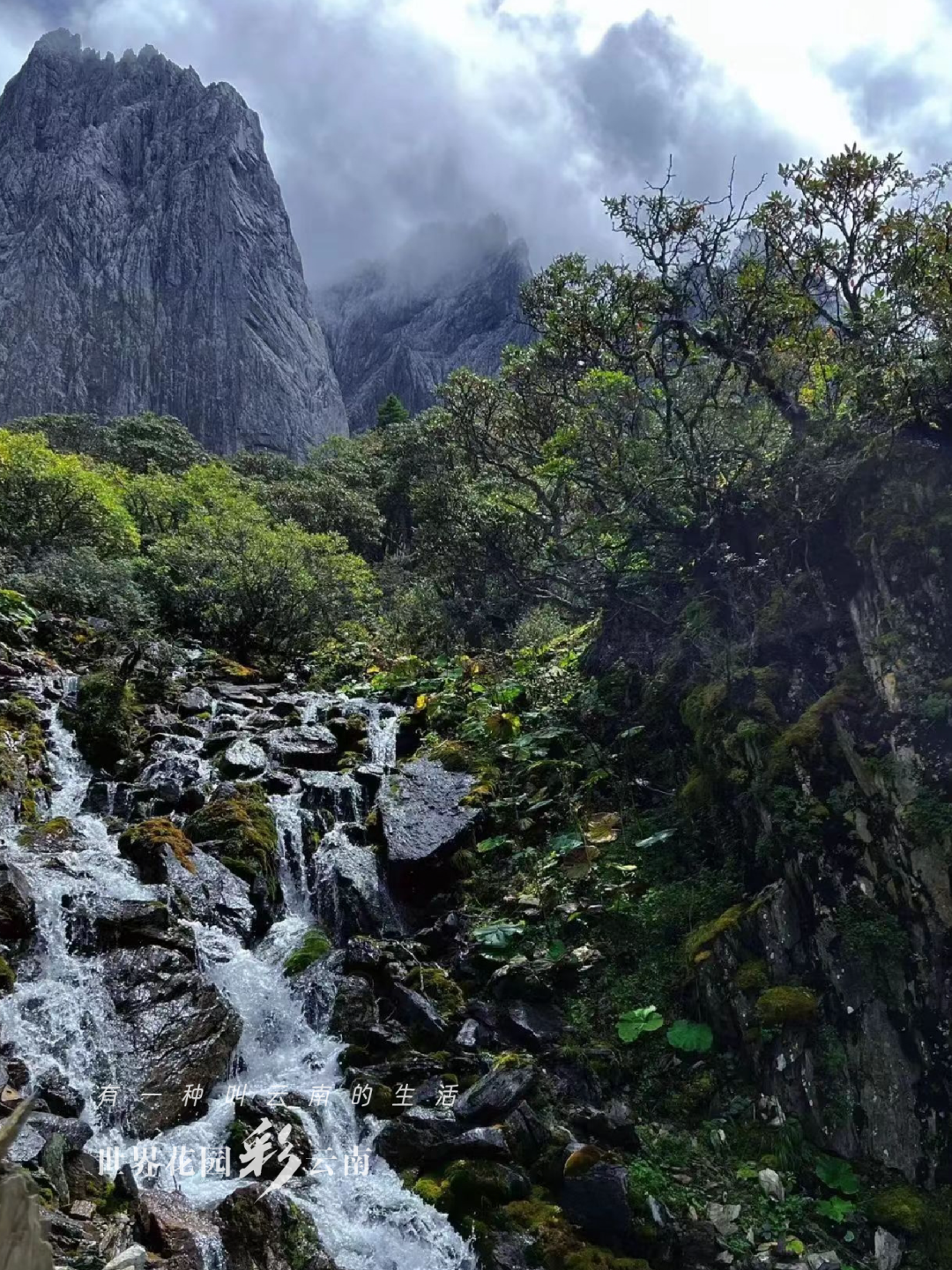 云南省文化和旅游厅
