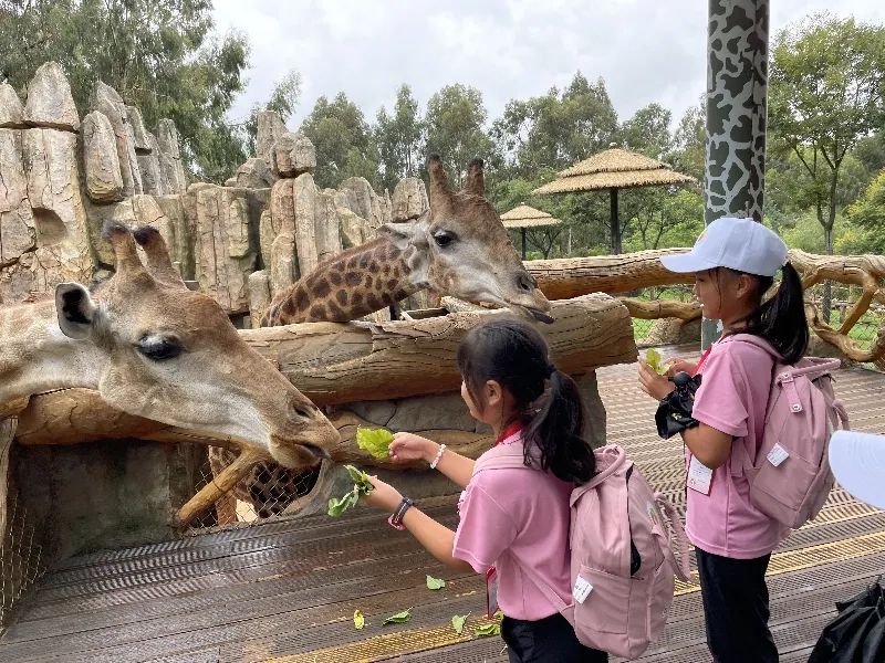 云南省人民检察院