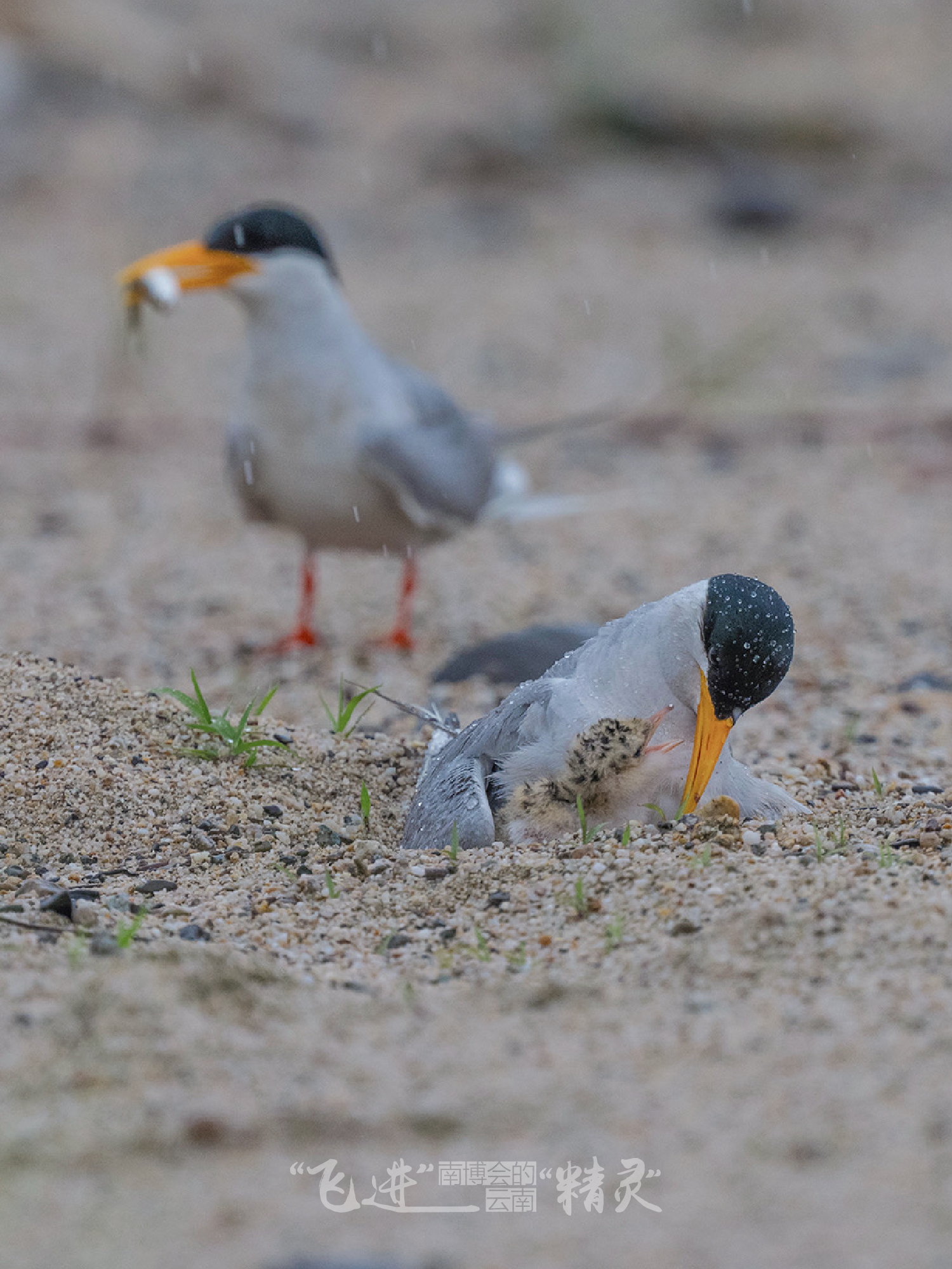 云南省文化和旅游厅