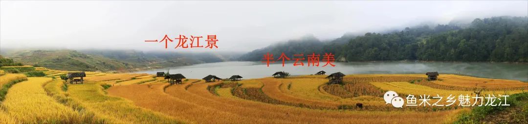 保山新闻网