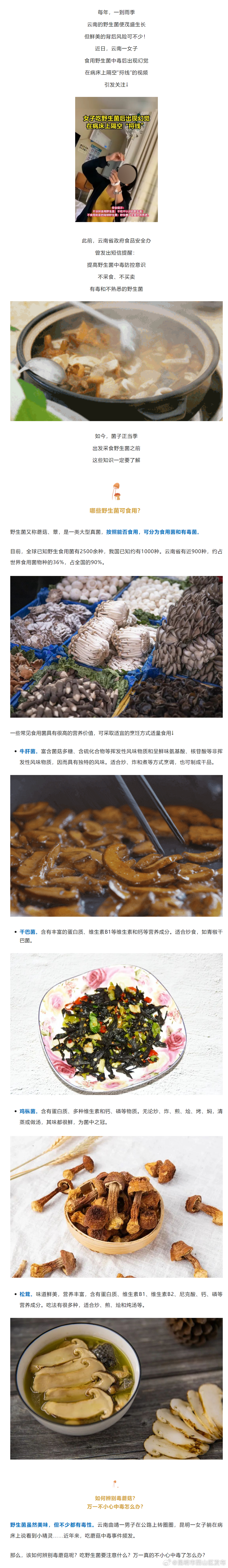 昆明市西山区发布