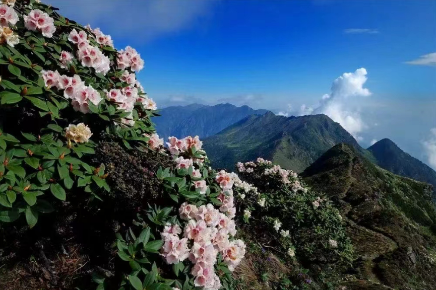 云南省文化和旅游厅