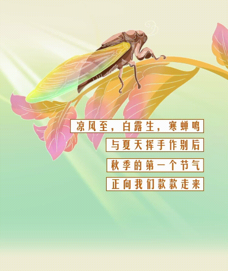 云南省人民政府网