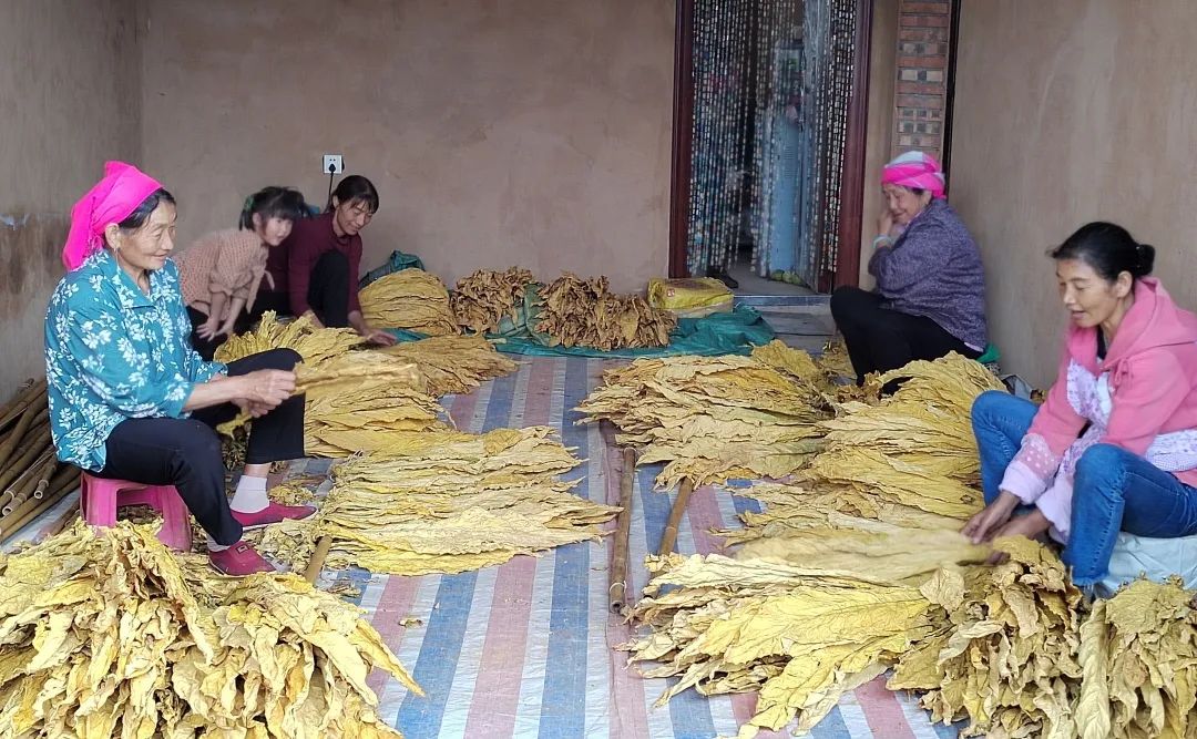 晋宁诗意的栖居地