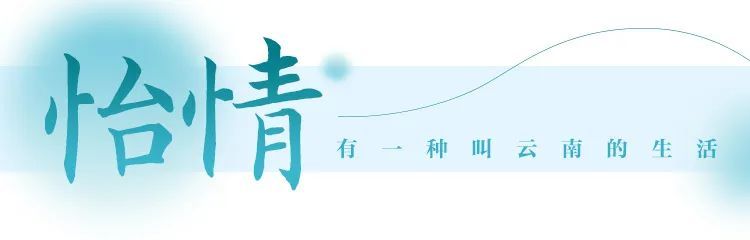 云南省文化和旅游厅