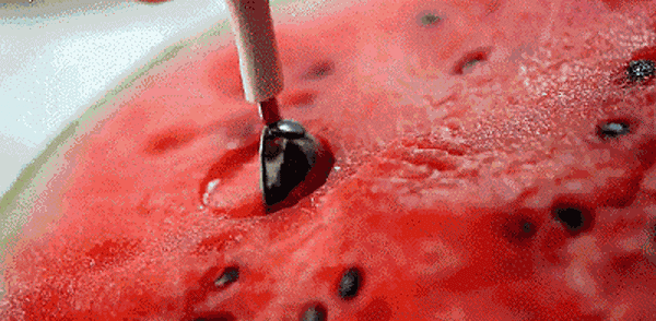 沙瓤西瓜确实会更甜