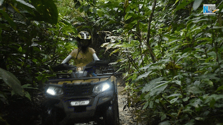 云南省文化和旅游厅