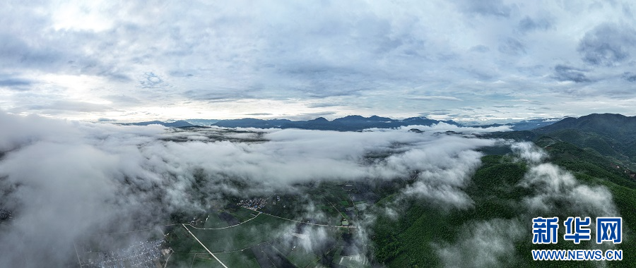 云南省文化和旅游厅