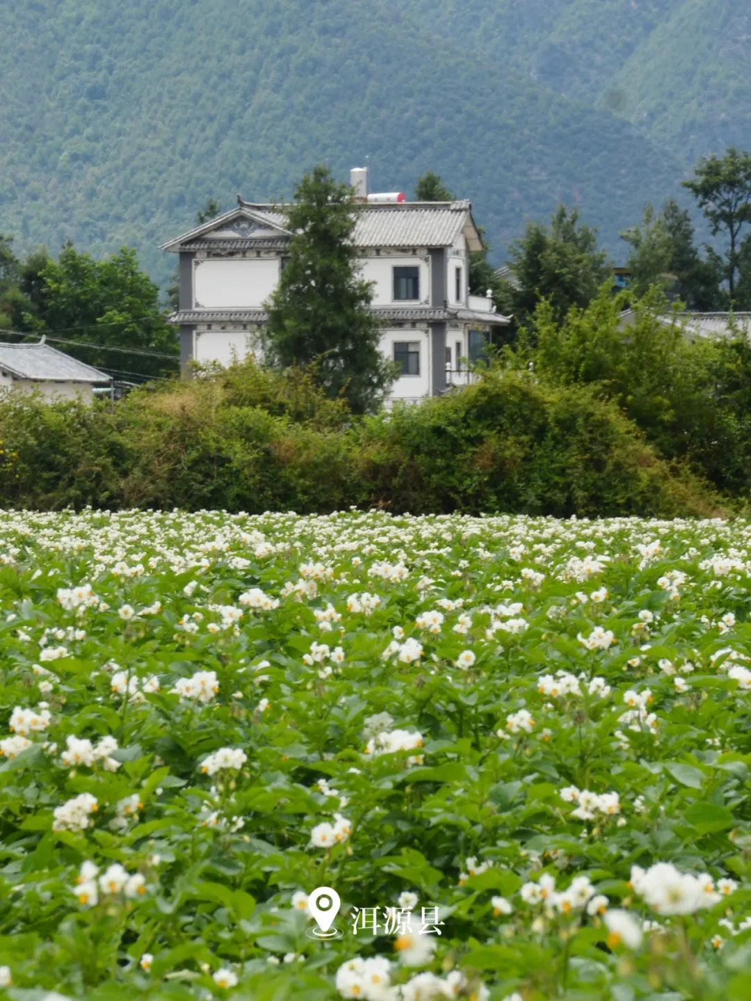 云南省文化和旅游厅
