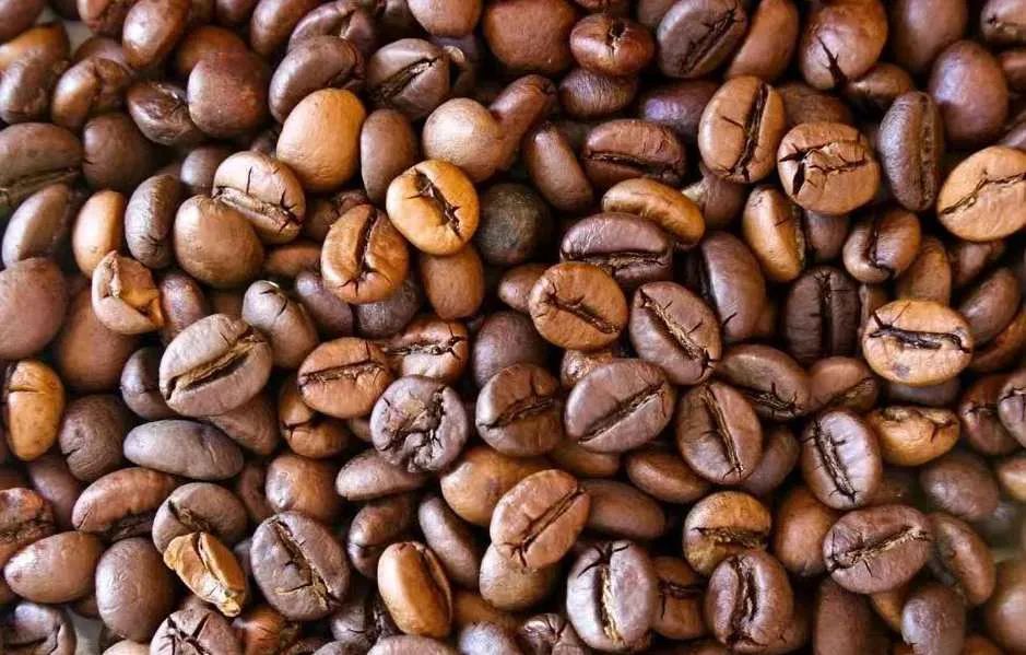 云南省文化和旅游厅