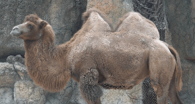 昆明市西山区图书馆