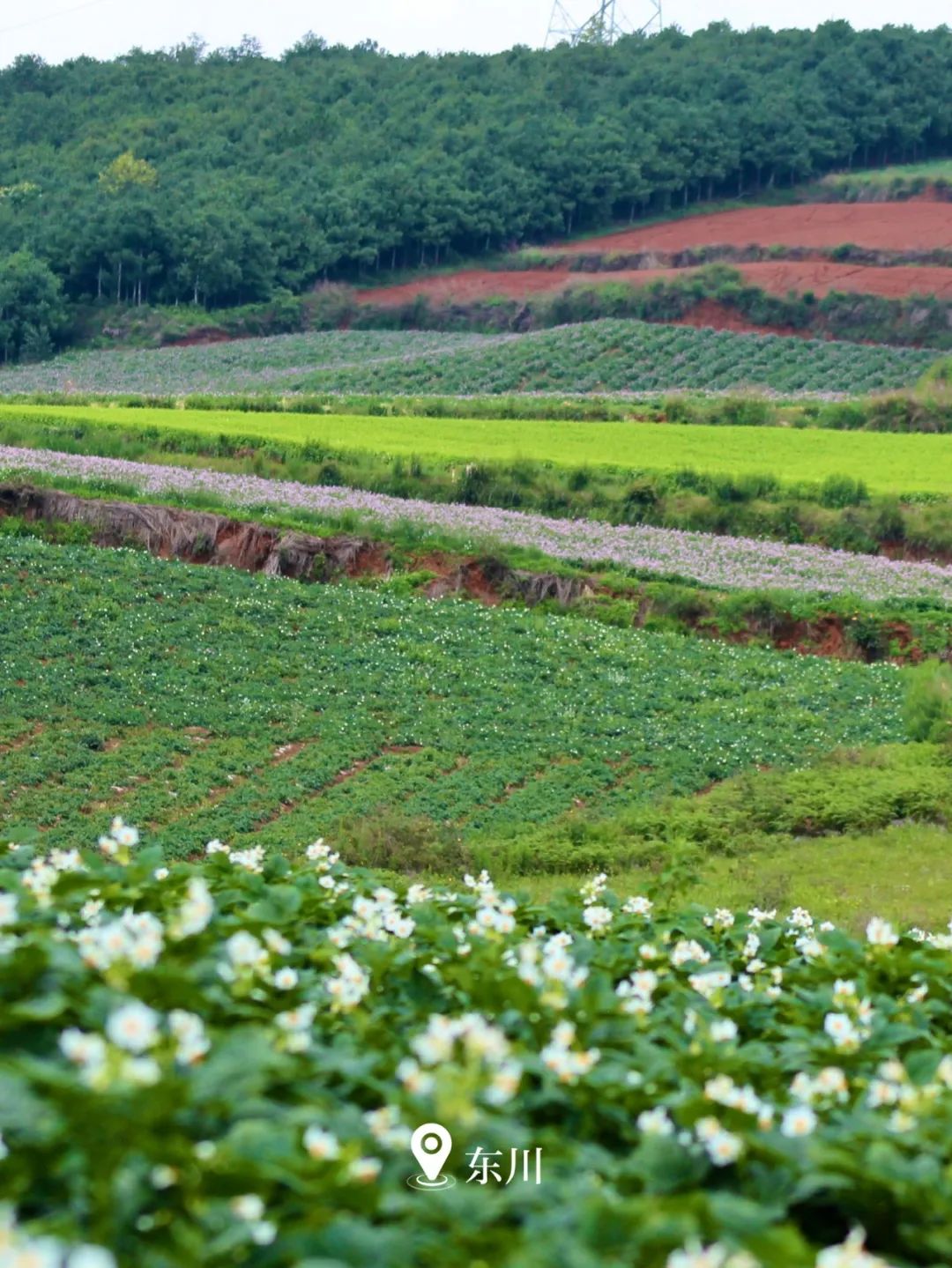 云南省文化和旅游厅