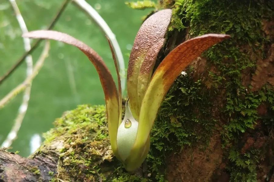 云南省文化和旅游厅