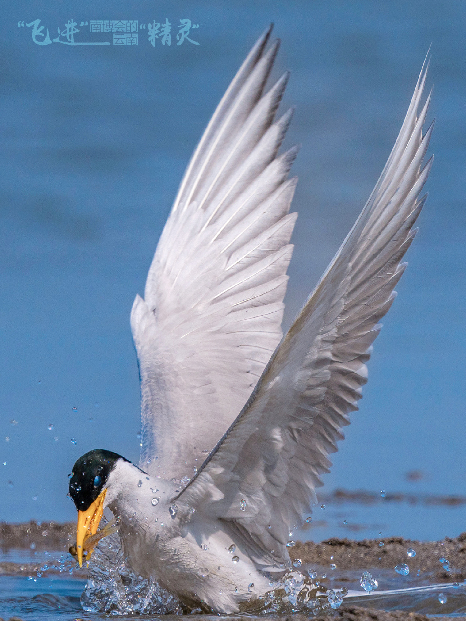 云南省文化和旅游厅