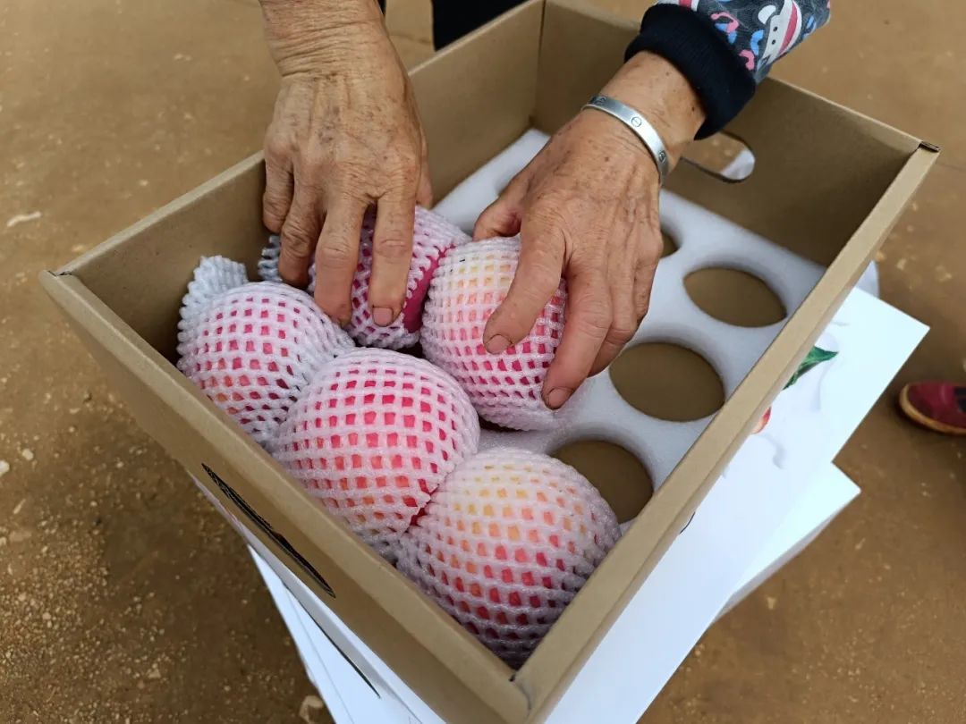 晋宁诗意的栖居地