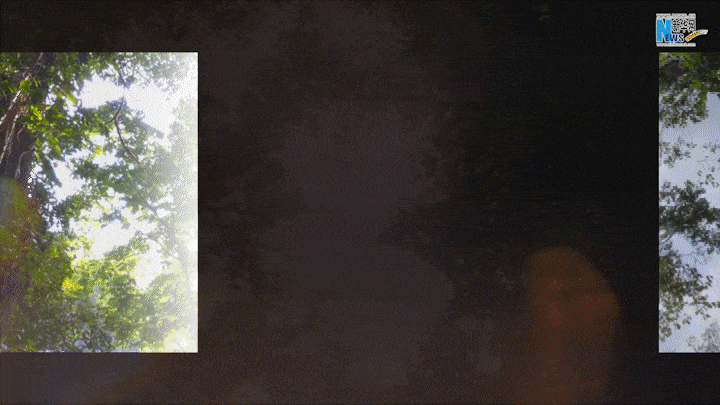 云南省文化和旅游厅