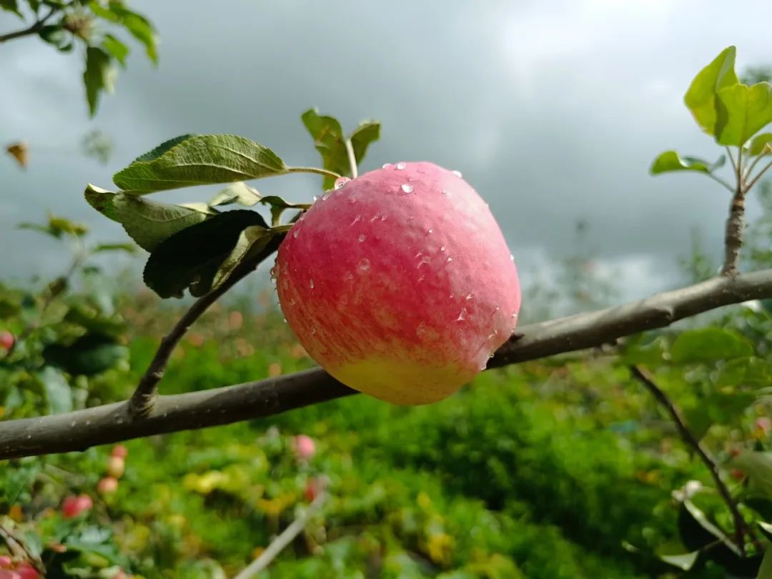 晋宁诗意的栖居地